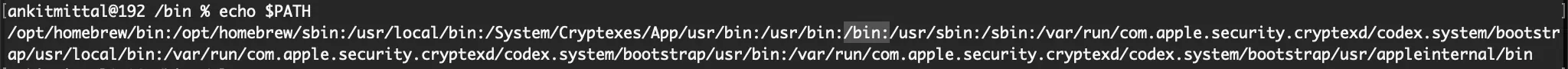 echo $path command with /bin highlighted